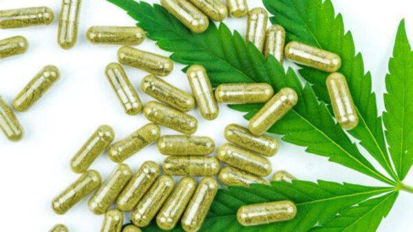 Florida Green Wellness Medical Marijuana Holistic Marijuana Doctor pills