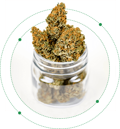 Florida Green Wellness Medical Marijuana Holistic Marijuana Doctor buds in a jar transparent
