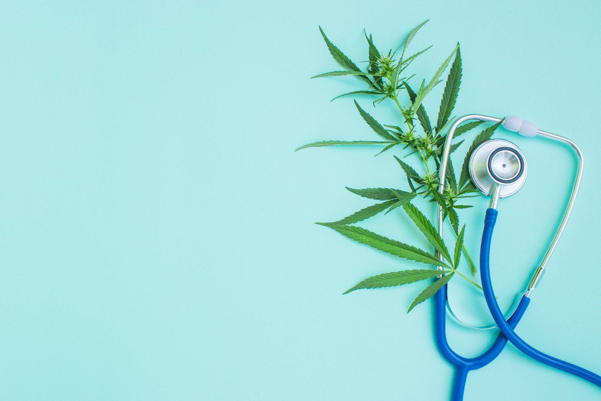 Florida Green Wellness Medical Marijuana Holistic Marijuana Doctor background